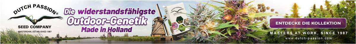 Dutch Passion Banner 1